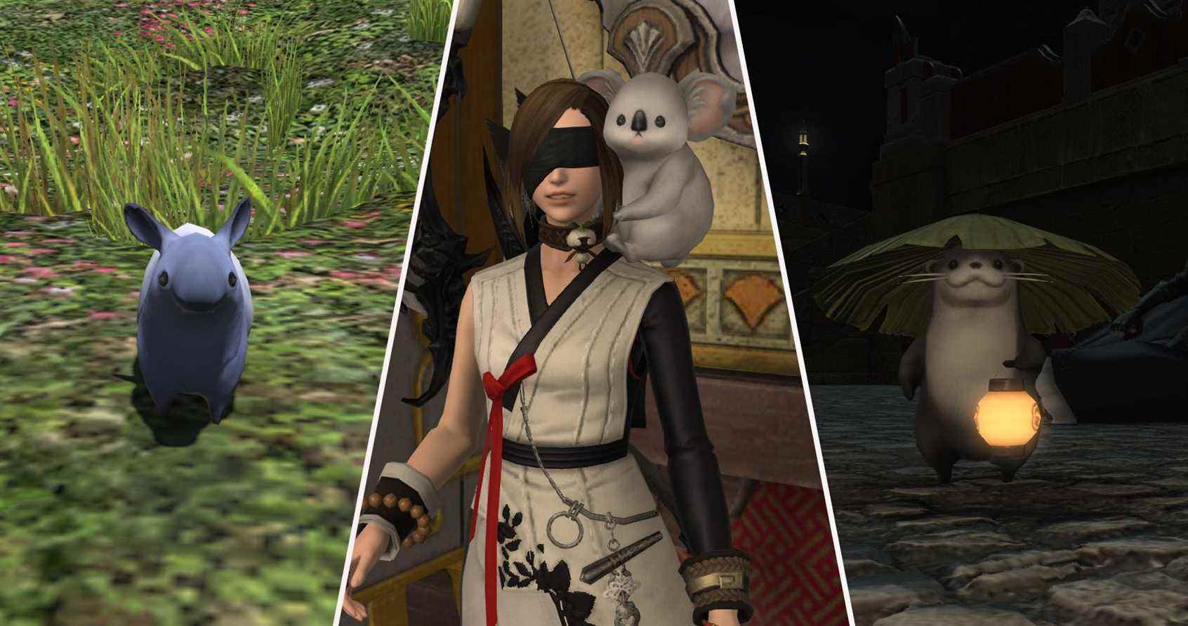 Final Fantasy 14: Guide de tous les minions trouvés sur les entreprises de retenue
