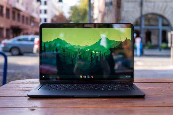 Écran Google Pixelbook Go