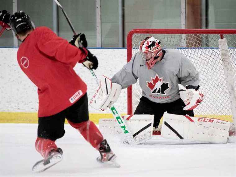 Brett Brochu du Canada cherche à prouver que les dépisteurs ont tort aux championnats du monde juniors