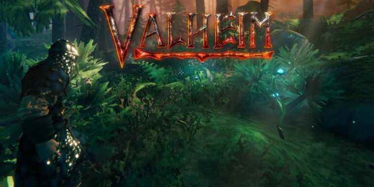 Valheim : où trouver du chardon et quoi en faire
