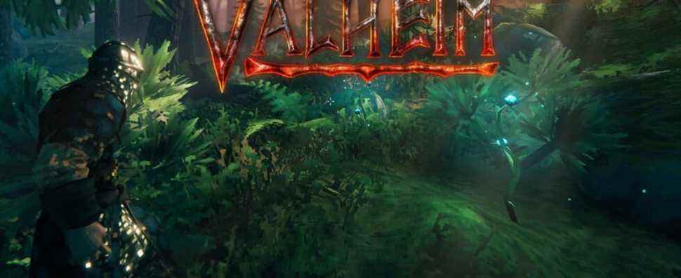 Valheim : où trouver du chardon et quoi en faire