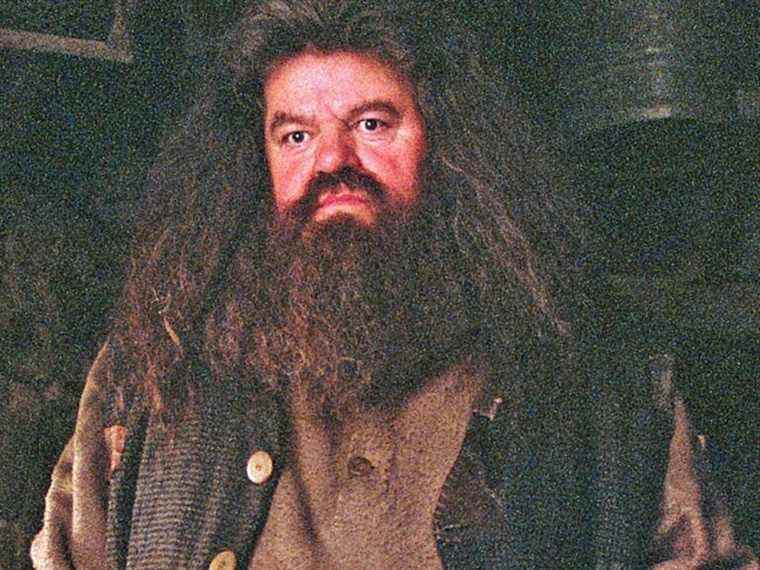 Hagrid note l’évidence dans le spécial 20e anniversaire de Harry Potter – JK Rowling a disparu