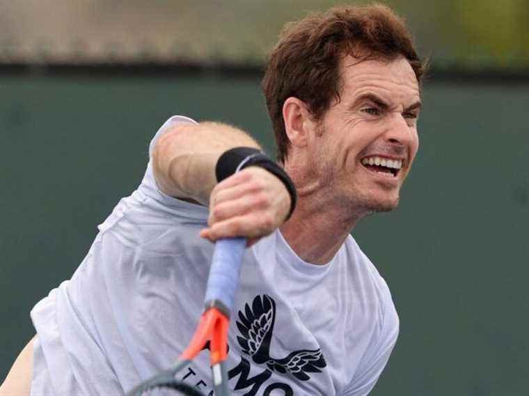 Andy Murray accepte l’entrée wild-card de l’Open d’Australie