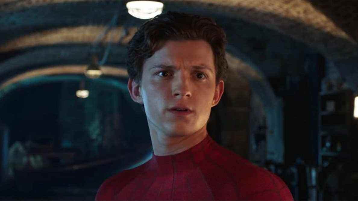 Après qu'Anthony Mackie l'ait appelé pour le Spider-Man Ride de Disneyland, Tom Holland applaudit 
