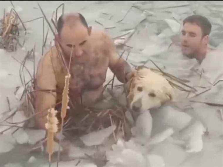 Brrr… Des policiers espagnols bravent un réservoir gelé pour sauver un chien