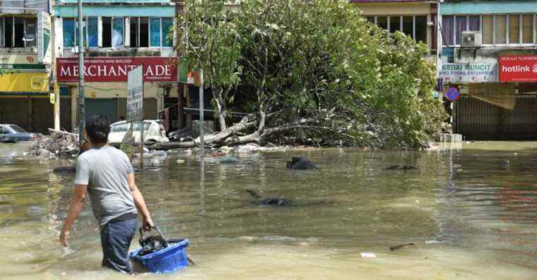 Des développeurs de table malaisiens collectent des fonds avec un ensemble de jeux pour soulager les inondations
