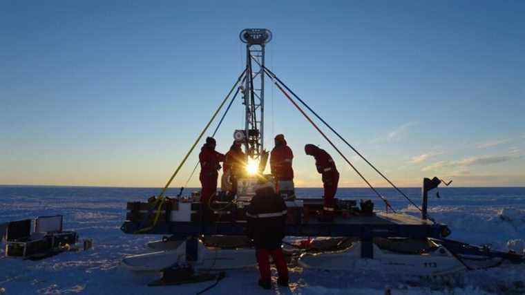 Des scientifiques ont trouvé un berceau de vie sous l’Antarctique