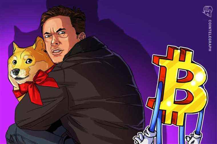 Dogecoin est meilleur que Bitcoin pour les paiements, déclare Elon Musk