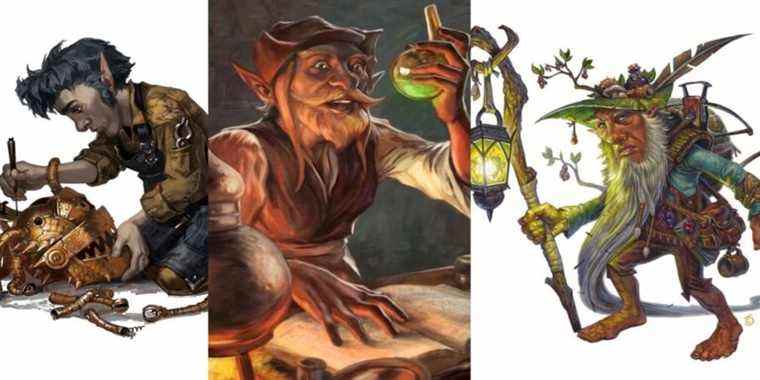 Dungeons & Dragons : 7 choses que vous ne saviez pas sur les gnomes
