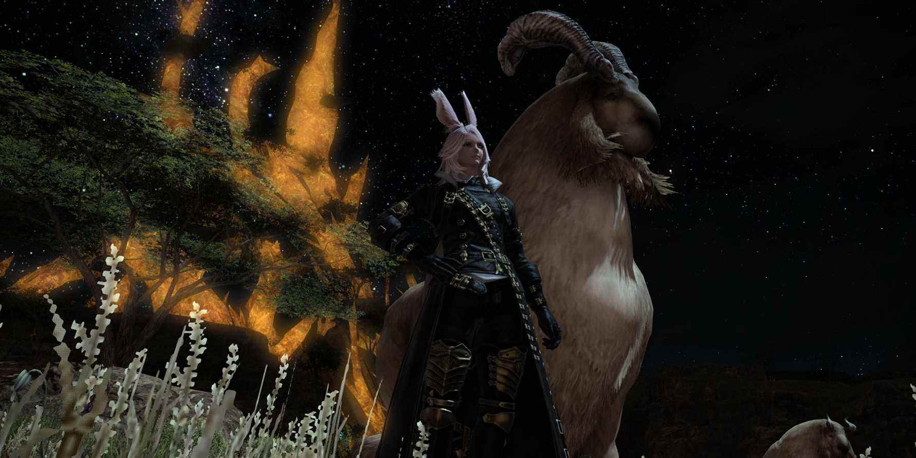 Final Fantasy 14: Comment obtenir la corne d'Aldgoat
