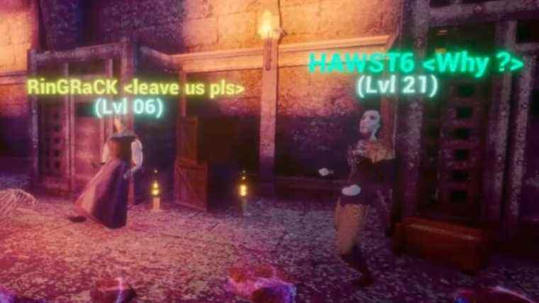     HitFlesh vous ramène au serveur de fans hanté d'un MMO classique

