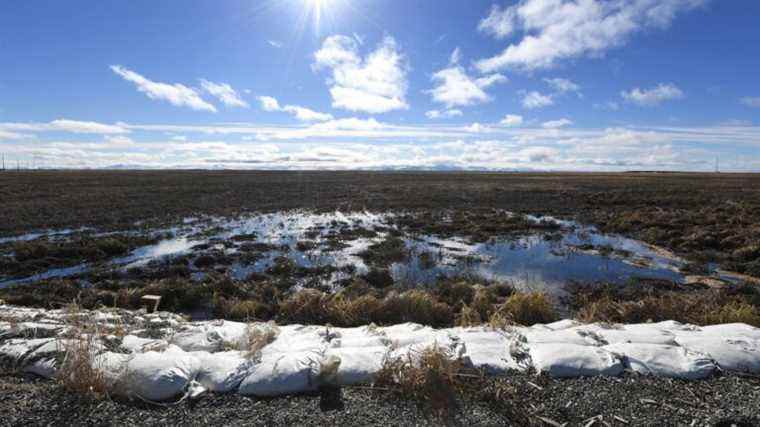 Il fait 65 degrés en Alaska en décembre