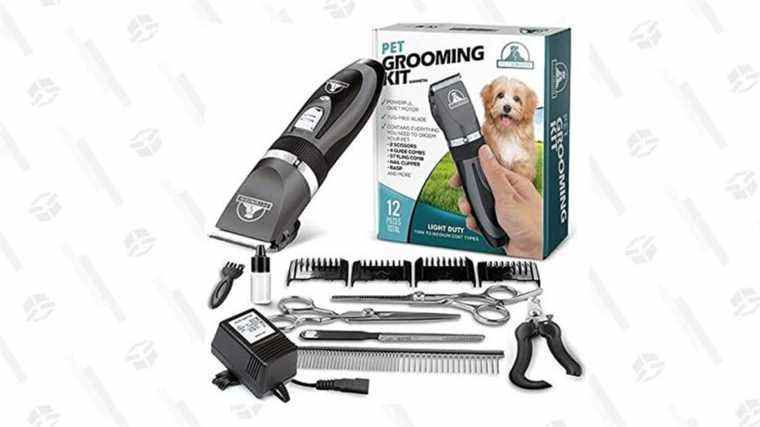 Il semble vraiment intelligent d’obtenir ce kit de toilettage professionnel pour chien Pet Union pour 28 $ sur Amazon