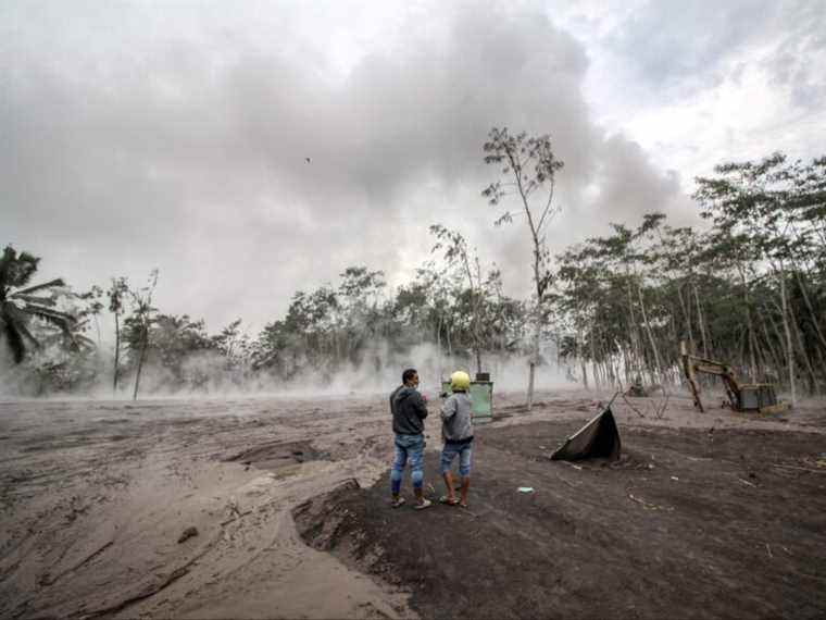 Indonésie L’éruption volcanique du Semeru fait 14 morts;  des dizaines de blessés