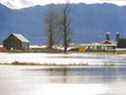 Inondations près de la route 1 entre Abbotsford et Chilliwack le 26 novembre. PHOTO DE FRANCIS GEORGIAN /PNG