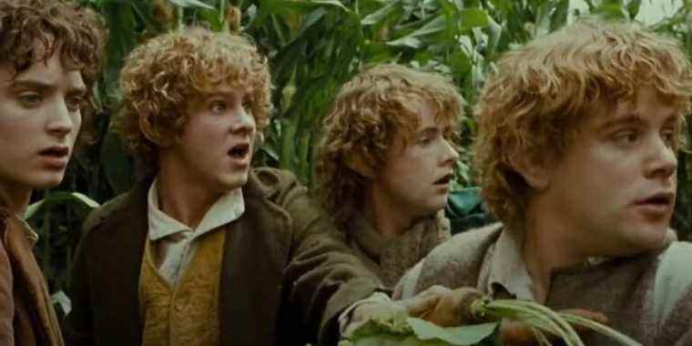 LOTR : Pourquoi Farmer Maggot est-il si méchant dans les films ?
