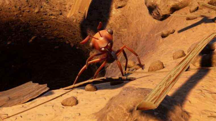     La prochaine mise à jour de Grounded ajoute un donjon rempli de fourmis et un bac à sable littéral

