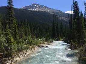 Sur cette photo du 6 juillet 2017, la rivière Yoho traverse le parc national Yoho dans la partie canadienne des montagnes Rocheuses, à cheval sur la frontière de la Colombie-Britannique et de l'Alberta.