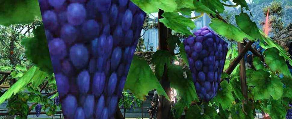 Le patch Final Fantasy XIV corrige les raisins low-poly, à la grande consternation des fans