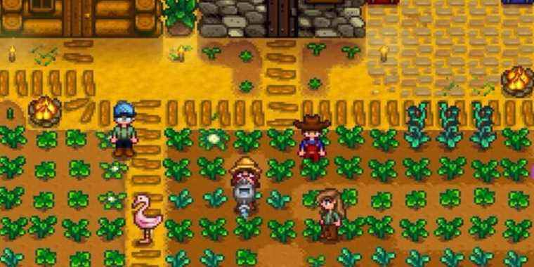 Les avantages et les inconvénients de jouer à Stardew Valley en coopération