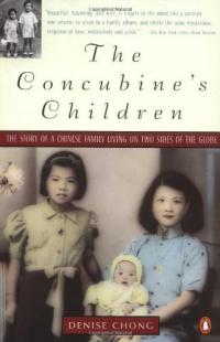 Les enfants de la concubine : Portrait d’une famille divisée Résumé et guide d’étude Description