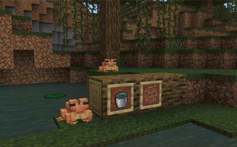 Minecraft: Bedrock Edition Beta 1.18.10.24 teste les grenouilles de ‘The Wild Update’