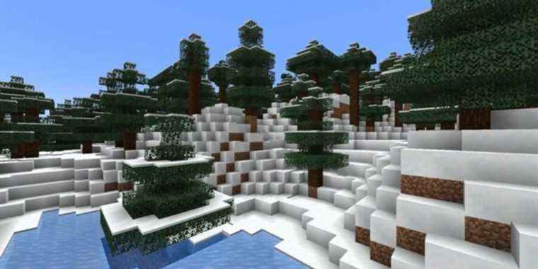 Minecraft Caves and Cliffs Partie 2: Nouveau guide des biomes Overworld