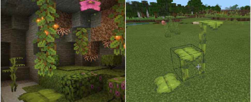 Minecraft: Comment obtenir Dripleaf (et ce qu'il fait)