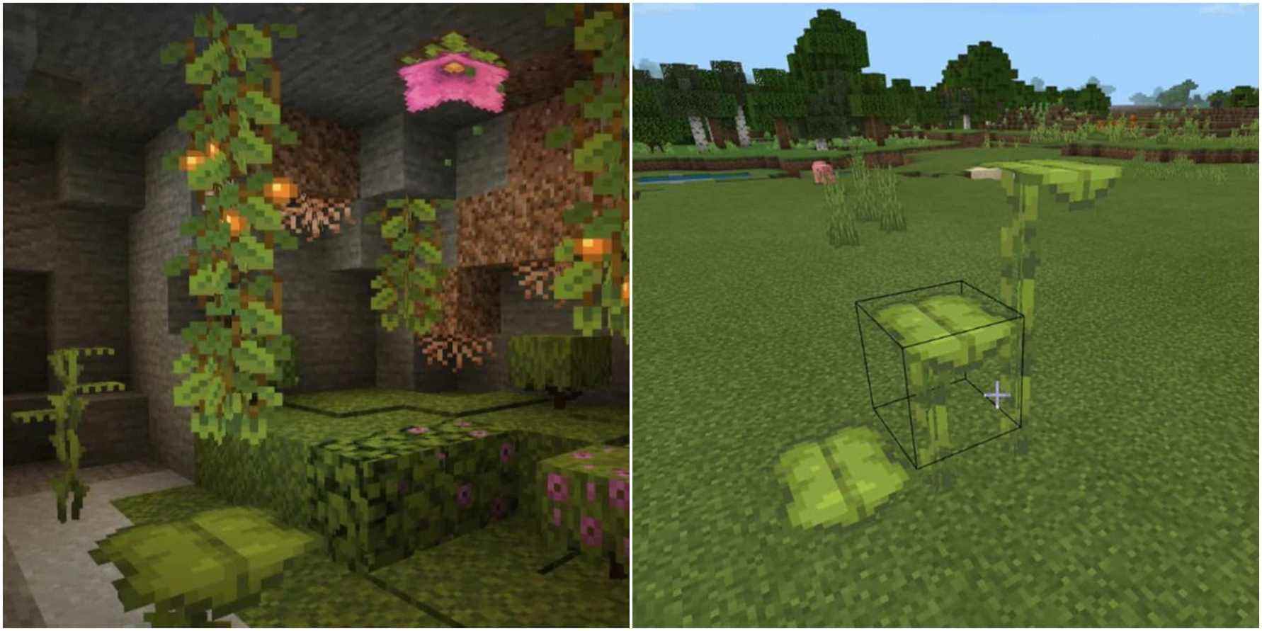 Minecraft: Comment obtenir Dripleaf (et ce qu'il fait)
