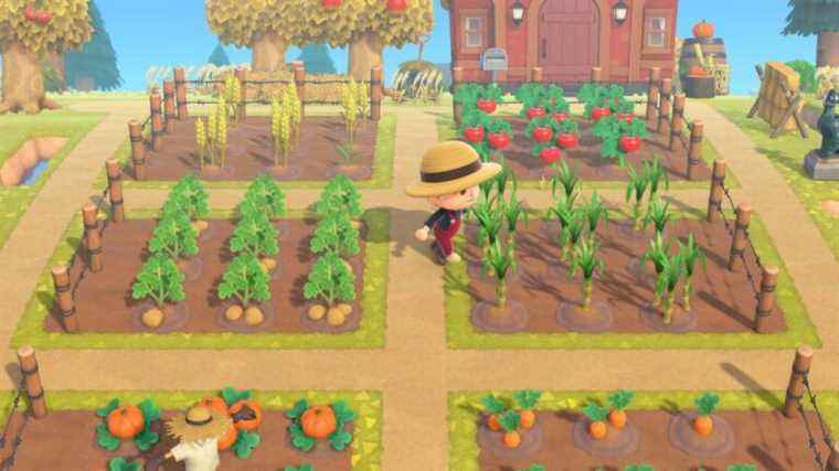 L’agriculture et la cuisine arrivent à Animal Crossing: New Horizons et les fans vont le perdre