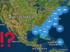 Le fait qu'un traqueur ait montré des requins blancs se rassemblant le long de la côte est des États-Unis le 1er décembre n'est pas préoccupant, selon un porte-parole du site Web Ocearch.