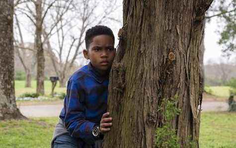 Raising Dion TV show on Netflix: (canceled or renewed?)