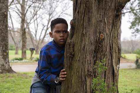 Raising Dion TV show on Netflix: (canceled or renewed?)