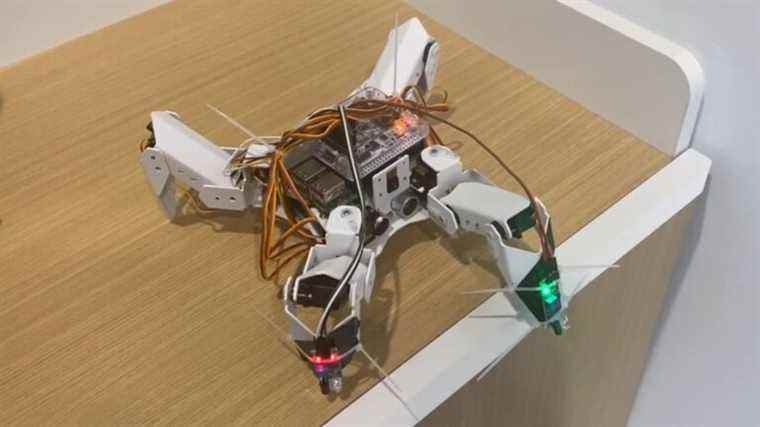 Raspberry Pi Spider Bot détecte les bords pour éviter les chutes