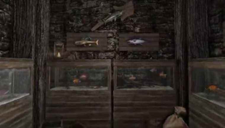 Skyrim: Anniversary Edition vous permet de collecter des poissons dans votre propre aquarium