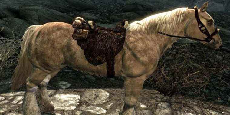 Skyrim Bug a des joueurs volant dans les airs à cheval