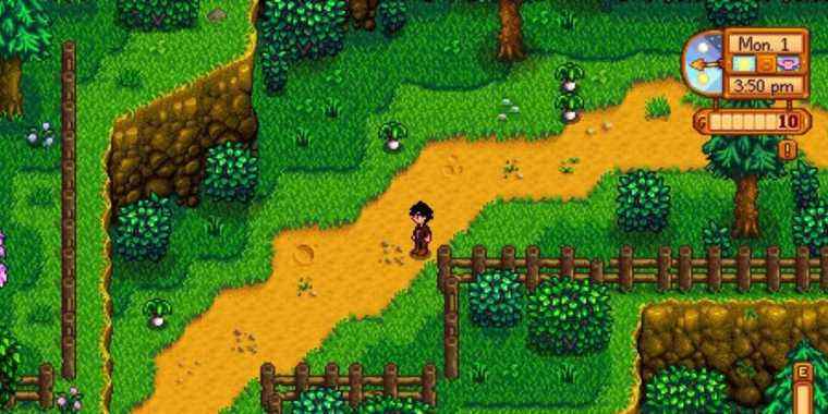 Stardew Valley: Où trouver des poireaux