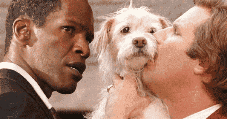 Strays Teams Jamie Foxx et Will Ferrell en tant que chiens parlants
