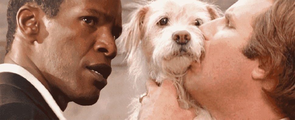 Strays Teams Jamie Foxx et Will Ferrell en tant que chiens parlants