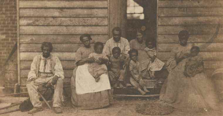 The Cotton Gin, Squirrel Hill et autres lettres à l’éditeur