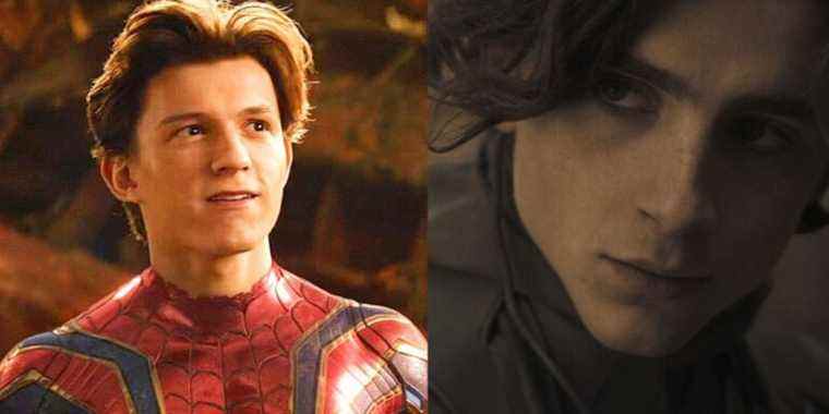 Tom Holland dit que Timothée Chalamet devrait être Harry Osborn