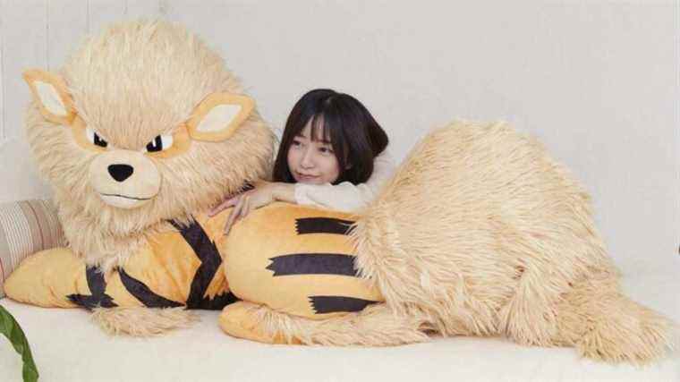 Une peluche Arcanine massive de la taille d’un grand danois peut désormais être pré-commandée