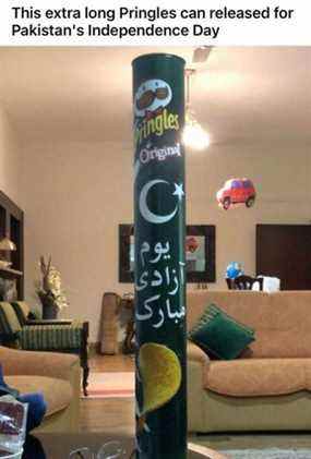 Kayhan Mirza, 24 ans, de Toronto, a trouvé une puce de forme étrange dans cette boîte de Pringles et la vend 500 $ sur Facebook Marketplace.