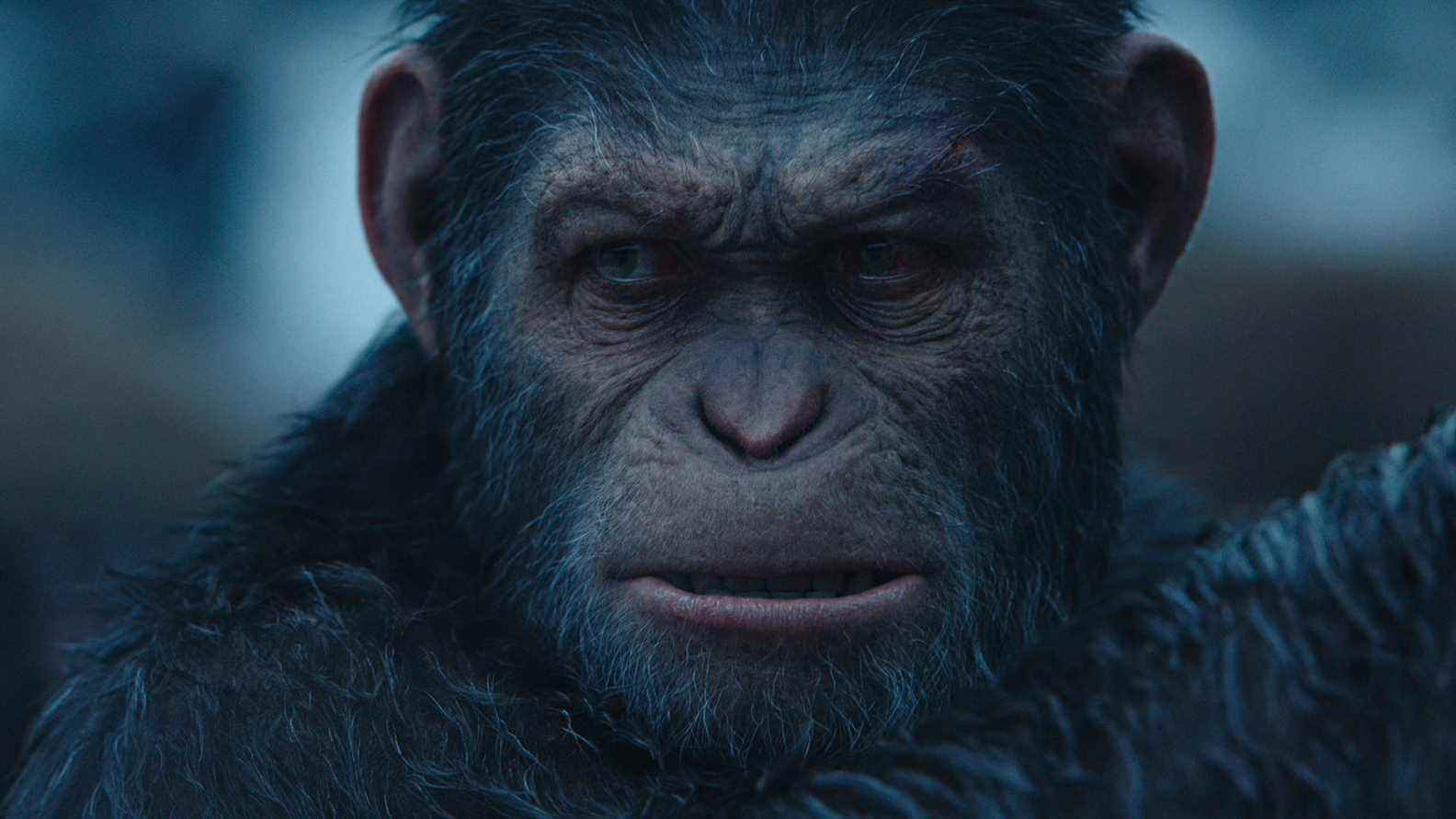     Unity acquiert le studio d'effets visuels primé aux Oscars Weta Digital

