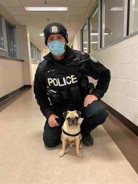 Const. de police de Toronto  Matt Campbell, de la division 23, est vu ici avec Bugsy le jeudi 23 décembre 2021, six jours après que le carlin de quatre ans a été arraché à l'arrière-cour de la maison familiale d'Etobicoke.