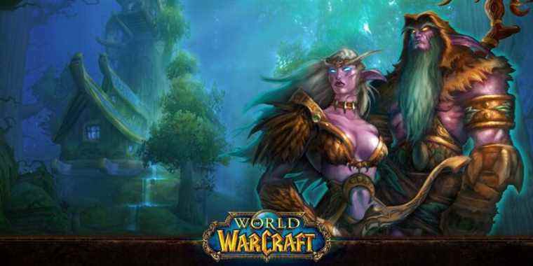 World of Warcraft pourrait ajouter des options de personnalisation de genre