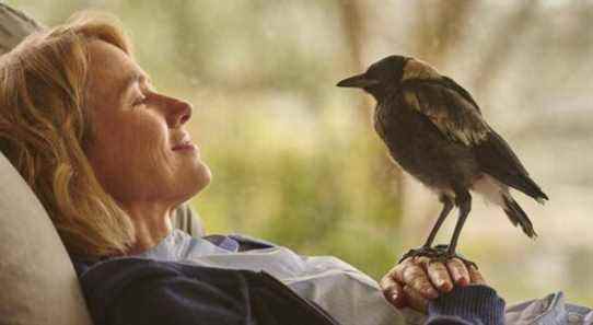 Naomi Watts n'était pas une grande fan d'oiseaux avant de travailler avec des pies dans Penguin Bloom de Netflix