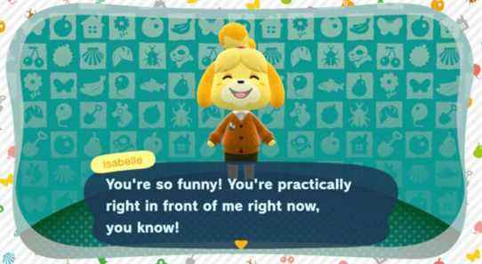 Animal Crossing New Horizons amiibo : comment débloquer et utiliser les amiibo et ce qu'ils font