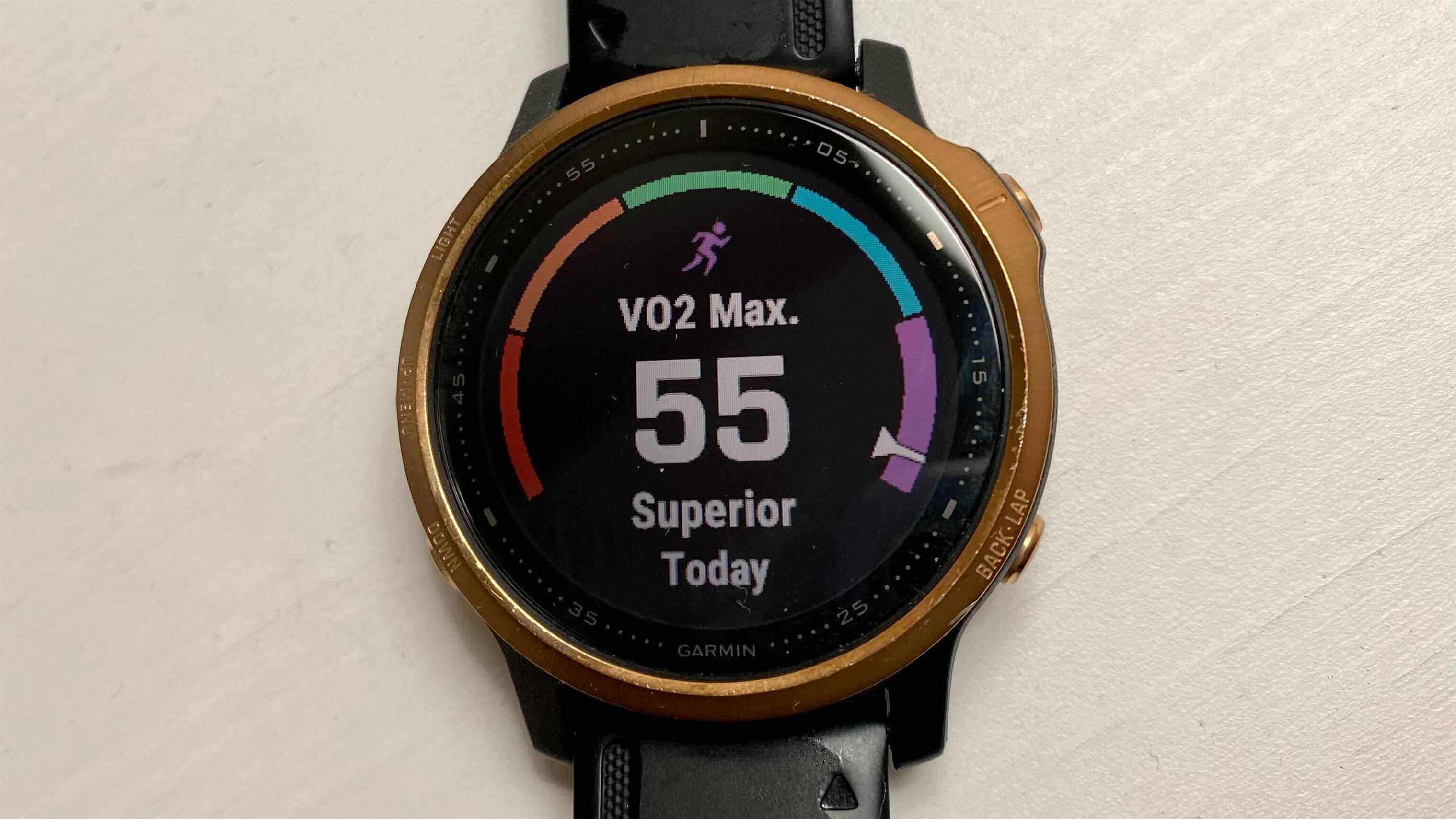 Une photo de la Garmin Fenix ​​6 avec le VO2 max