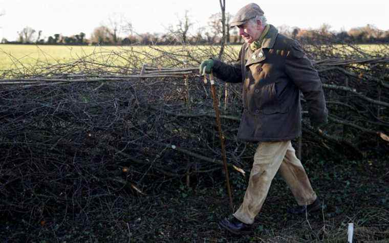 La branche de vente au détail de Highgrove enregistre une perte avant impôts après que Covid a forcé le prince Charles à fermer boutique